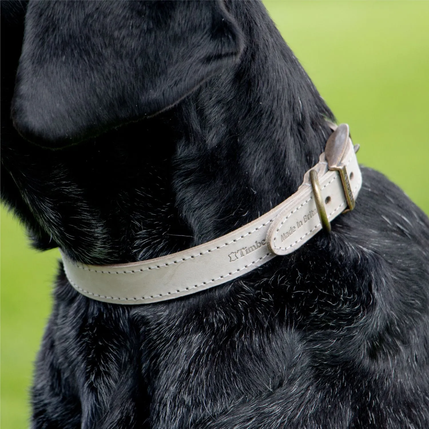 Ancol Timberwolf Leather Collar Light Grey Size 8