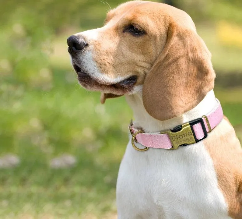 Dog's Pastel Color Collar
