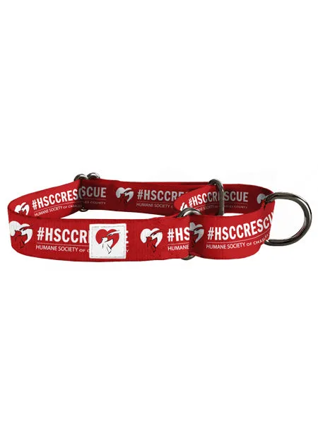 Martingale Collars: The Limited-Slip Dog Collars