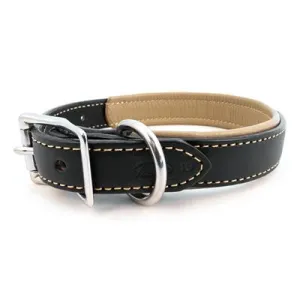 Padded Leather Collars