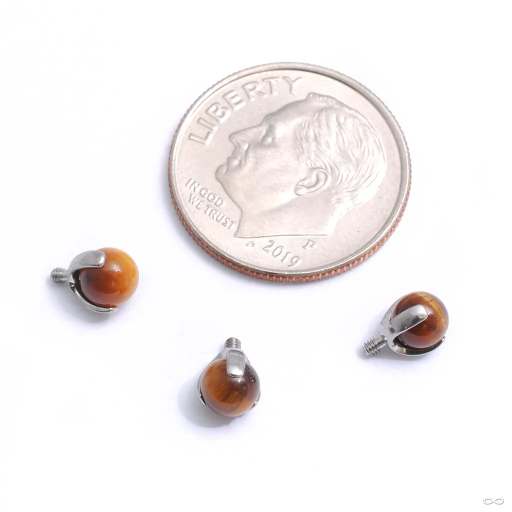 Three Prong Natural Stone Threaded End in Titanium from Industrial Strength